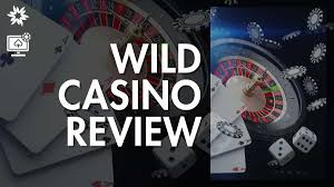 Wild Joker Online Casino Review: Our Judgment